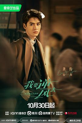 网站优化好评的聊天记录